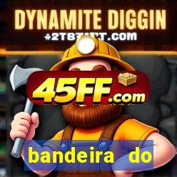 bandeira do flamengo emoji